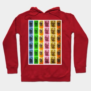 Sugar Skulls Pop Art Hoodie